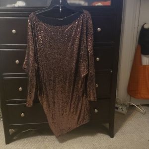 Sequin Dress worn once